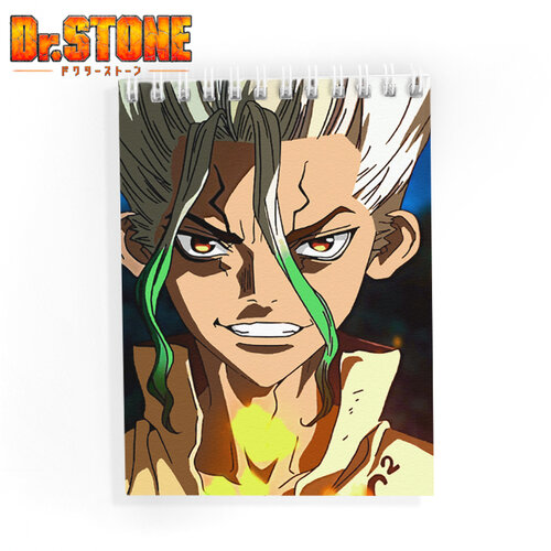 Фотография товара «Блокнот Dr. Stone »