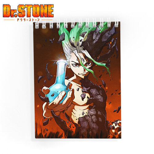 Фотография товара «Блокнот Dr. Stone »