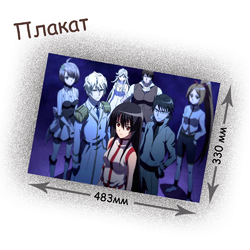 Фотография товара «Плакат Akame ga Kill!»