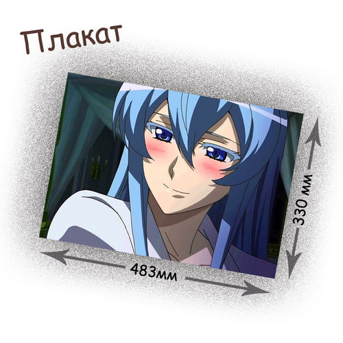 Фотография товара «Плакат Akame ga Kill!»