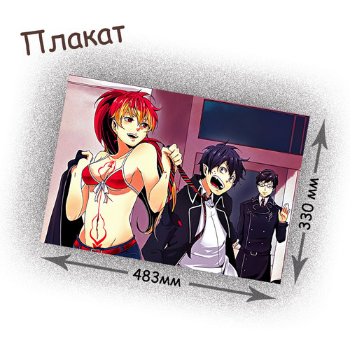 Фотография товара «Плакат Ao no Exorcist»