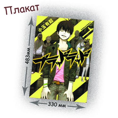 Фотография товара «Плакат Blood Lad»