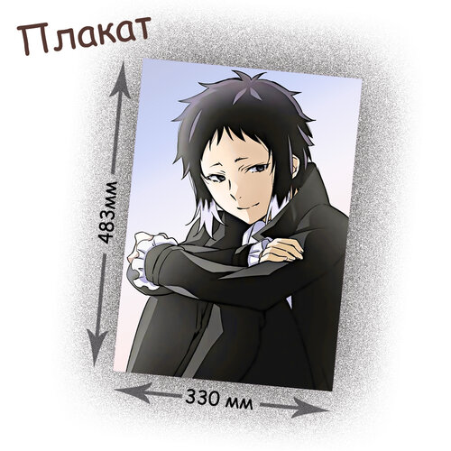 Фотография товара «Плакат Bungou Stray Dogs»