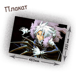 Фотография товара «Плакат D.Gray-man»