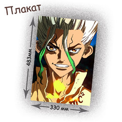 Фотография товара «Плакат Dr. Stone»