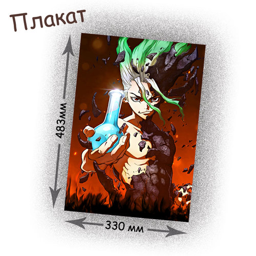 Фотография товара «Плакат Dr. Stone»