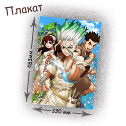 Фотография товара «Плакат Dr. Stone»