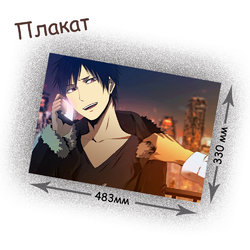 Фотография товара «Плакат Durarara!!»