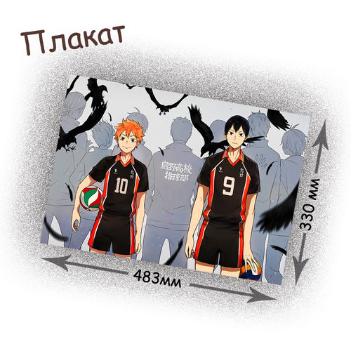 Фотография товара «Плакат Haikyuu»