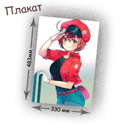 Фотография товара «Плакат Hataraku Saibou»