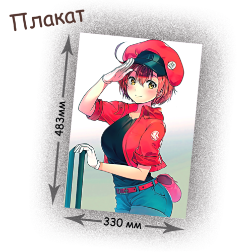 Фотография товара «Плакат Hataraku Saibou»