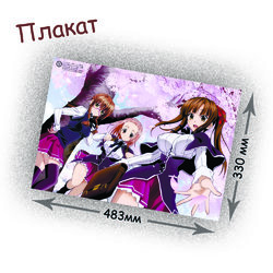 Фотография товара «Плакат  High School DxD»