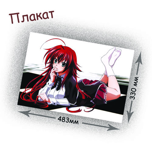 Фотография товара «Плакат  High School DxD»