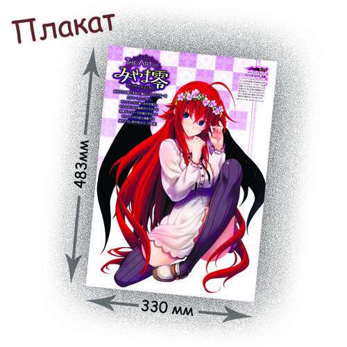 Фотография товара «Плакат  High School DxD»