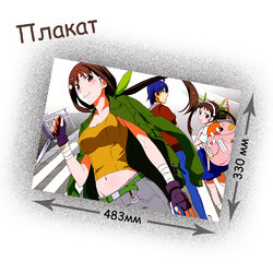 Фотография товара «Плакат Monogatari »