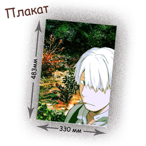 Фотография товара «Плакат Mushishi »