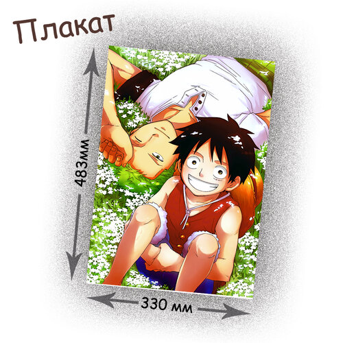 Фотография товара «Плакат One Piece»