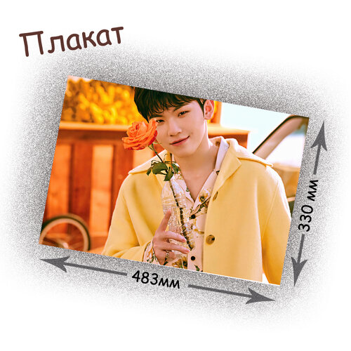 Фотография товара «Плакат Seventeen »