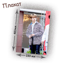 Фотография товара «Плакат Stray Kids»