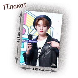 Фотография товара «Плакат Stray Kids»