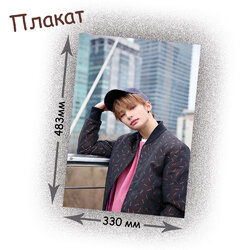 Фотография товара «Плакат Stray Kids»