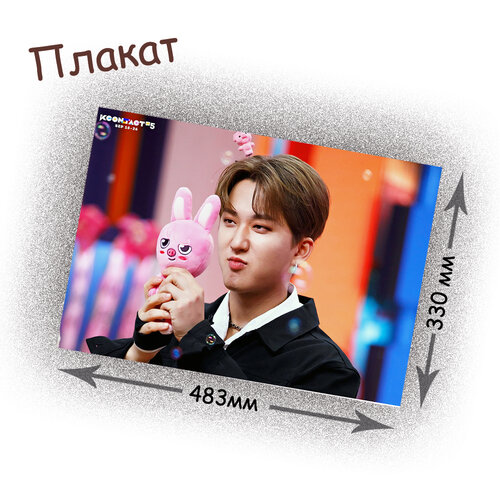 Фотография товара «Плакат Stray Kids»