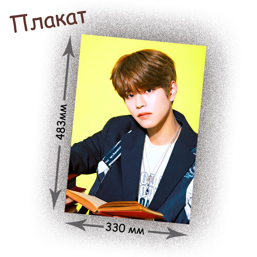 Фотография товара «Плакат Stray Kids»