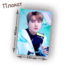 Фотография товара «Плакат Stray Kids»