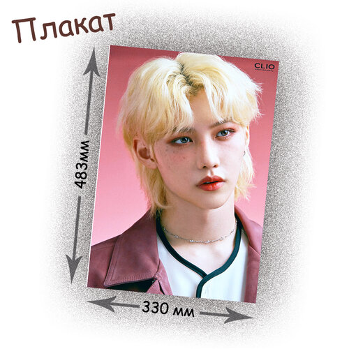 Фотография товара «Плакат Stray Kids»