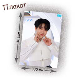 Фотография товара «Плакат Stray Kids»