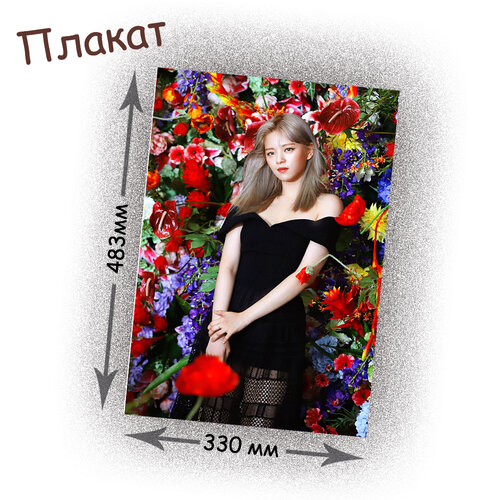 Фотография товара «Плакат Twice »