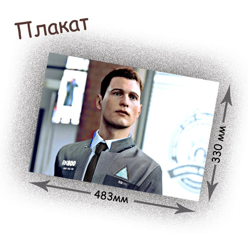 Фотография товара «Плакат Detroit Become Human»