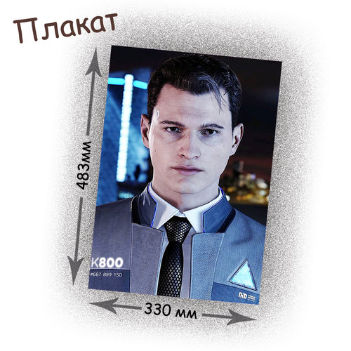 Фотография товара «Плакат Detroit Become Human»