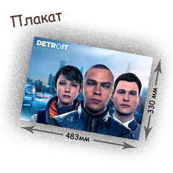 Фотография товара «Плакат Detroit Become Human»