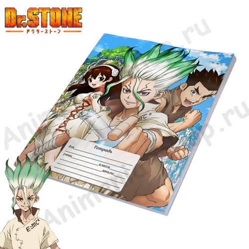 Фотография товара «Тетрадь Dr.Stone»